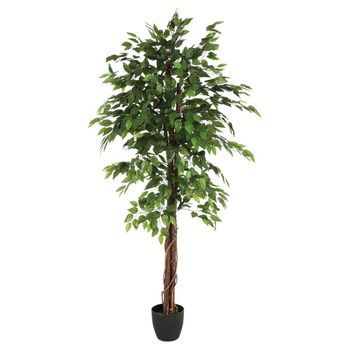 Ficus Artificial 