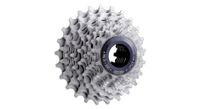 pinon micheprimato 11s acero campagnolo