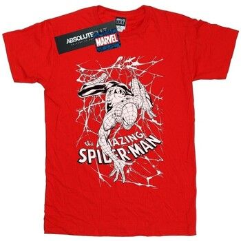 Marvel Camiseta Web Crawler para hombre