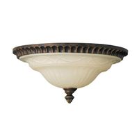 plafon de techo drawing room 2 luces