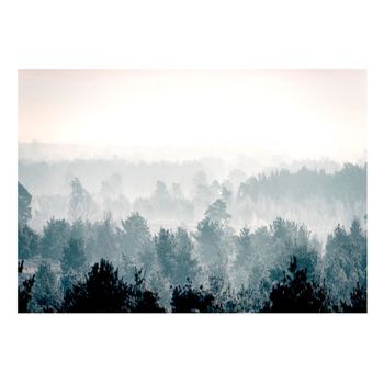 Papel Pintado 3d - Winter Forest (400x280 Cm)