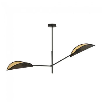 Lámpara de techo cano negro (2 luces)