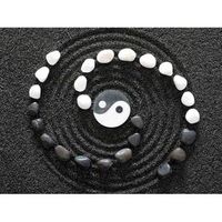 fotomural vinilo zen ying yang 350 x 250 cm