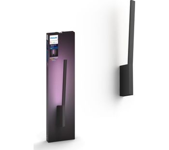PHILIPS Hue Liane Wall Lantern - Black, Black