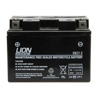 motor cycle battery ebz7-3