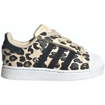 adidas Deportivas Moda SUPERSTAR II CF EL I BEIGE KK2126 para niño