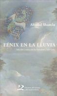 Fénix en la lluvia