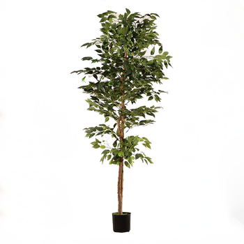 Ficus Artificial Benjamina 180cm – Naturing Monde