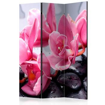 Biombo - Orchid Flowers With Zen Stones (135x172 Cm)