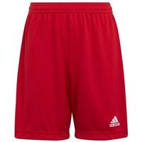 adidas short nino entrada 22 para nino