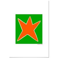 panorama cuadro de aluminio agatha ruiz de la prada estrella verde 70x100 cm