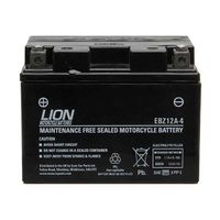 motor cycle battery ebz12a-4