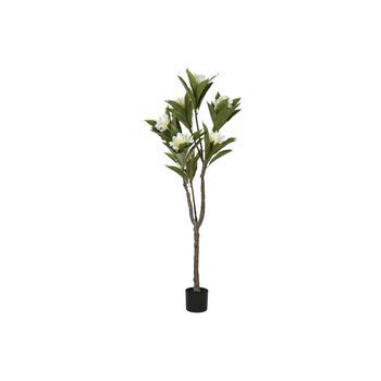 Arbol Pe 80x80x150 Frangipani Flor Tahiti Blanco