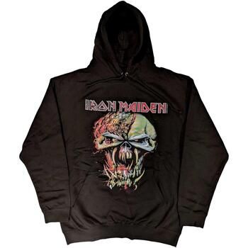 Iron Maiden Jersey Final Frontier para hombre