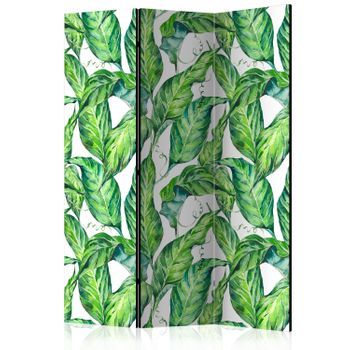 Biombo - Long Leaves (135x172 Cm)