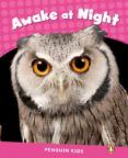 penguin kids 2 awake at night reader clil