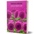 girasoles violetas