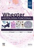 wheater. histología funcional (7ª ed.)
