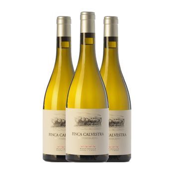 Mustiguillo Vino Blanco Finca Calvestra Vino Crianza 75 Cl 13.5% Vol. (pack De 3 Unidades)