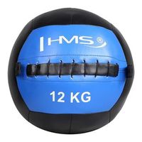 pelota de pared de 12 kg hms wlb12