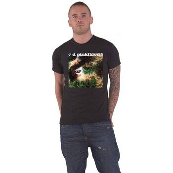 Pink Floyd Camiseta manga larga Saucer Full Of Secrets para hombre