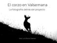 El corzo en Valsemana. La fotografía detrás del proyecto
