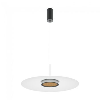 Lámpara colgante led el 50 (12w)