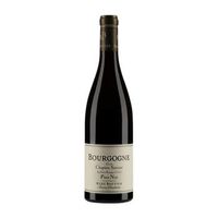 rene bouvier vino tinto le chapitre suivant bourgogne 75 cl 135 vol