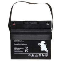 golf agm 12v 34ah  t-bar  carry strap