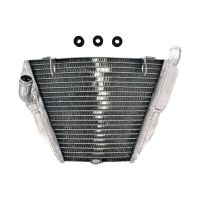 refrigerador motor ducati streetfighter agua baja