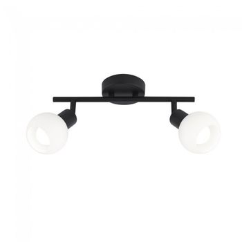 Regleta de techo opal (2 luces)