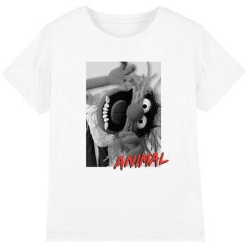 The Muppets Tops y Camisetas TV35344 para niño