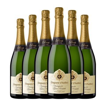 Segura Viudas Vintage Brut Cava Gran Reserva 75 Cl 12% Vol. (pack De 6 Unidades)