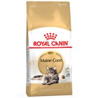 royal canin maine coon adult - 10kg