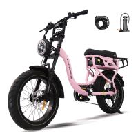 eu direct bicicleta electrica t7 con portaequipajes trasero 48v 18ah 250w motor 25 kmh velocidad maxima llantas de 20
