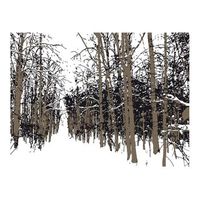 papel pintado 3d - arboles - otoo 350x270 cm