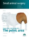 the pelvic area small animal surgery