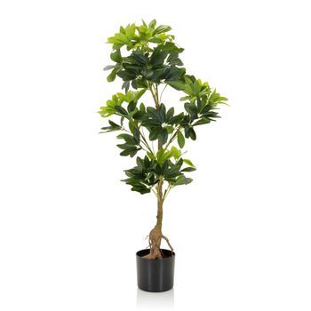 Planta Artificial / Árbol Artificial Schefflera Plástico Verde Hjh Office
