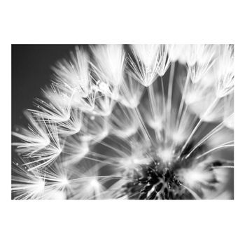 Papel Pintado 3d - Dandelion: Kiss Of The Morning (200x140 Cm)