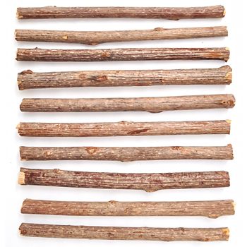 Aumüller Silver Vine Cat Sticks - 1 Set (10 Sticks)