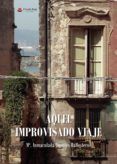 aquel improvisado viaje