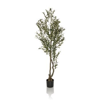 Planta Artificial / Árbol Artificial Olive I 172 Cm Verde Hjh Office