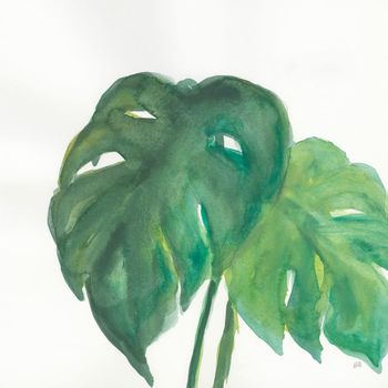 Cuadro monstera acuarela impresión sobre lienzo 50x50cm