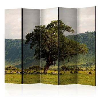 Biombo - In A Crater Of Ngoro Ngoro Ii (225x172 Cm)