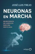 neuronas en marcha