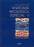 esquemas de anatomia: patologia especial - ii