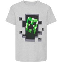 minecraft camiseta ns6016 para nino