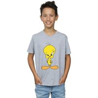 dessins animes camiseta angry para nino
