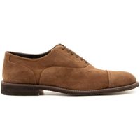 jerold wilton zapatos de vestir 1167-767 para hombre