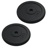 discos de pesas hierro fundido 40 kg vidaxl